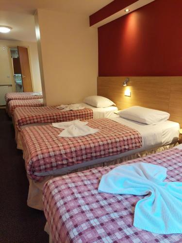 Habitación Familiar Grande con ducha y aseo privados del hotel Carlton. Foto 7