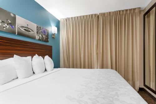Habitación Superior con cama extragrande - No fumadores del hotel Essence Park Slope. Foto 1