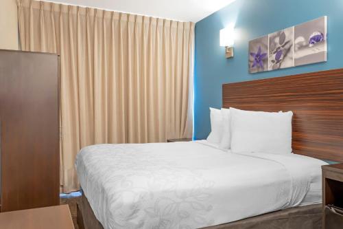 Habitación Estándar adaptada para personas de movilidad reducida con ducha accesible en silla de ruedas - 1 cama grande - No fumadores del hotel Essence Park Slope. Foto 2