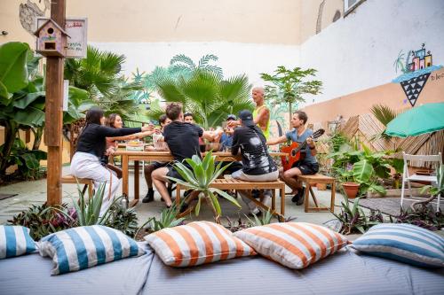 Habitación Doble con baño compartido del hotel Jungle House