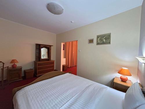 Suite con 1 cama doble del hotel ibis Styles Dunarea Galati. Foto 4