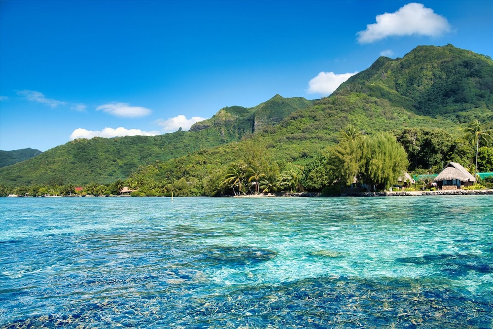 Villa Superior con Vistas al Océano del hotel Sofitel Kia Ora Moorea Beach Resort. Foto 8