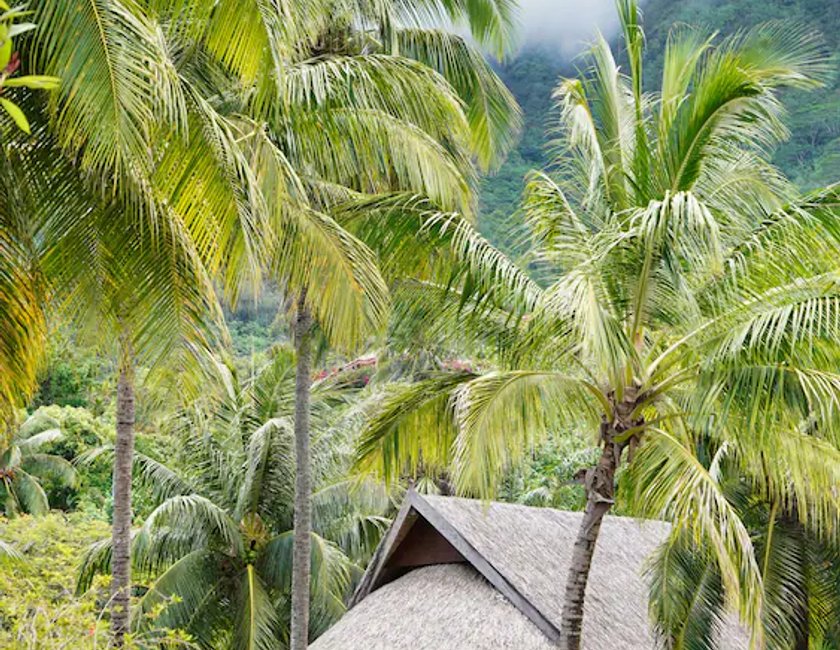 Villa Lujo Vista Jardín 1 Cama king del hotel Sofitel Kia Ora Moorea Beach Resort. Foto 4
