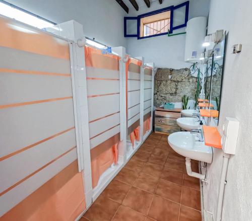 Litera en habitación compartida - Solo mujeres del hotel Ashavana. Foto 1