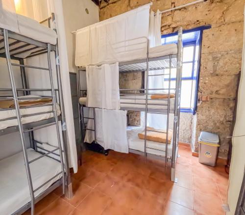 Litera en habitación compartida - Solo mujeres del hotel Ashavana. Foto 4
