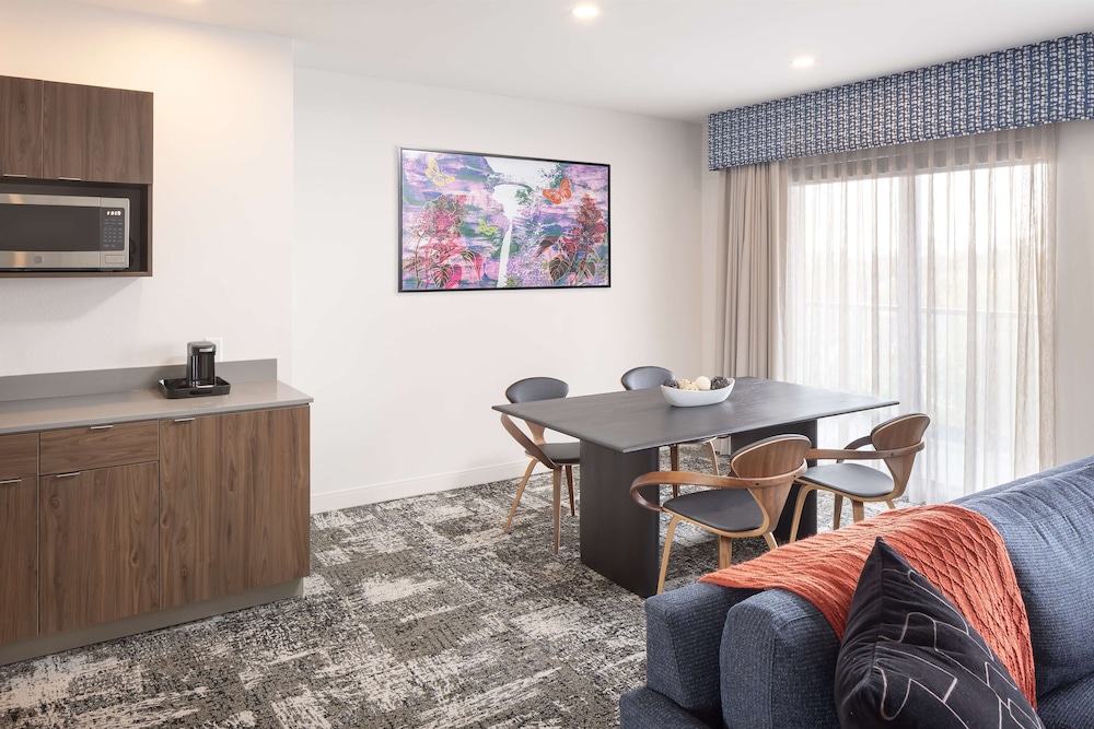 Suite con 1 Cama King, Microondas, Nevera y Barra Húmeda del hotel Hampton Inn and Suites Rochester Downtown. Foto 3