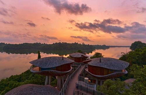 Mandai Sanctuary Treehouse with Daily Afternoon Tea & Complimentary bottle of Champagne del hotel Mandai Rainforest Resort By Banyan Tree