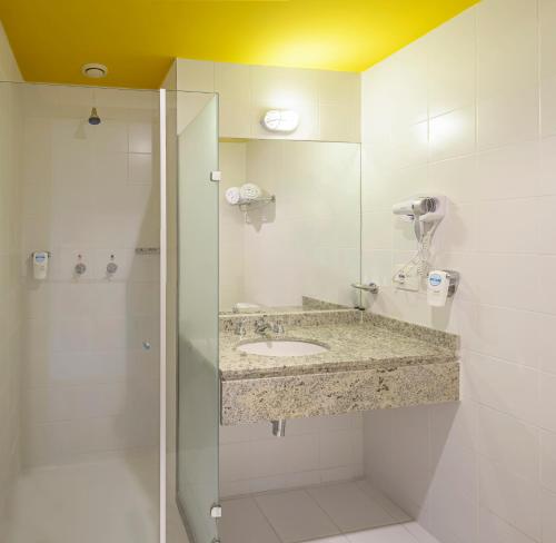 Apartamento Estándar con cama doble del hotel Ibis Styles Sao Paulo Faria Lima. Foto 6