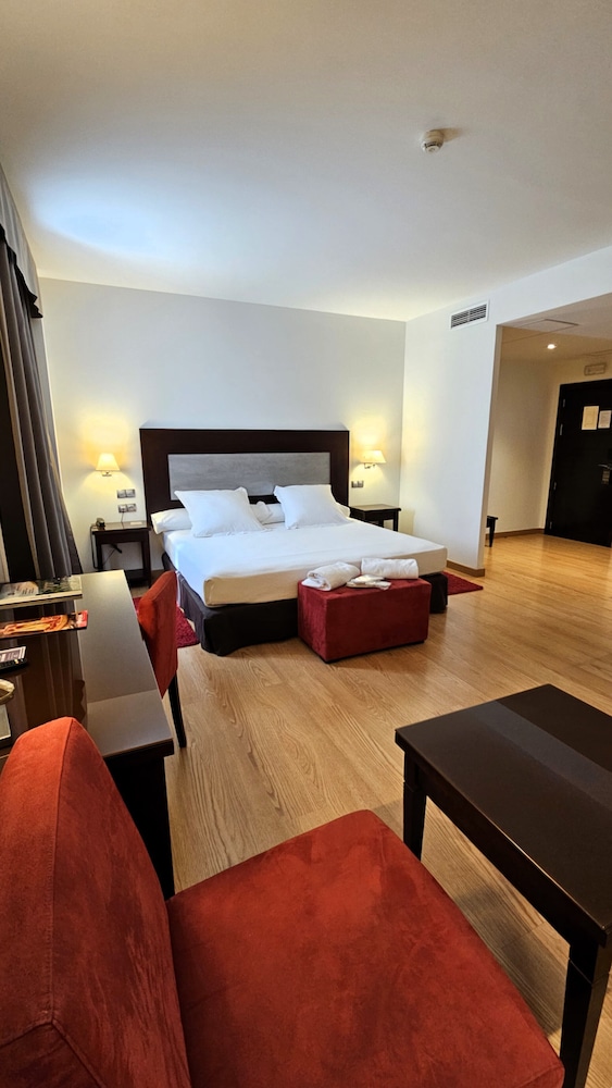 Suite estudio, 1 cama de matrimonio grande del hotel Las Bovedas. Foto 1
