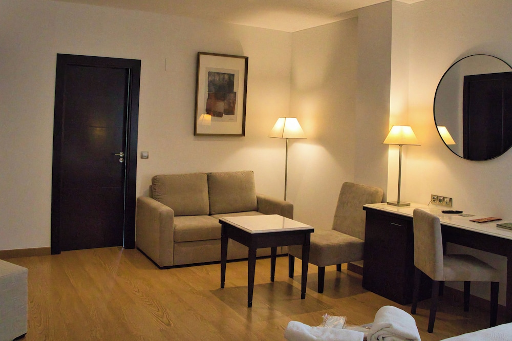Suite estudio, 1 cama de matrimonio grande del hotel Las Bovedas. Foto 1