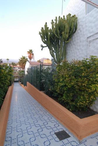 Estudio con vistas al jardín del hotel Paradero Ii. Foto 38