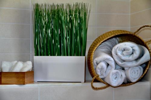 Habitación Individual Estándar del hotel Casas Heddy Well-being Resort. Foto 2