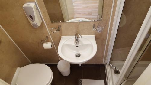 Habitación Cuádruple con baño privado del hotel Dolphin Inn. Foto 4
