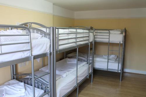 Habitación familiar 2 literas 1 Cama Individual del hotel Dolphin Inn. Foto 10