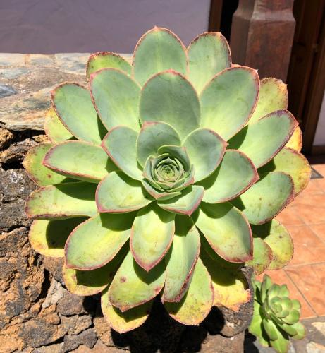 Casa con 1 dormitorio del hotel CASA RURAL LA FUENTE. Foto 19