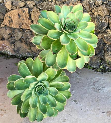 Casa con 1 dormitorio del hotel CASA RURAL LA FUENTE. Foto 20