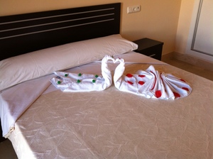 Apartamento 1 habitación del hotel Parque Tropical. Foto 1