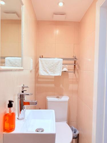Habitación Individual del hotel Europa House