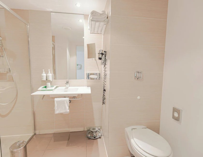 Habitación Premium, 1 cama de matrimonio del hotel Holiday Inn Mulhouse, An Ihg. Foto 1