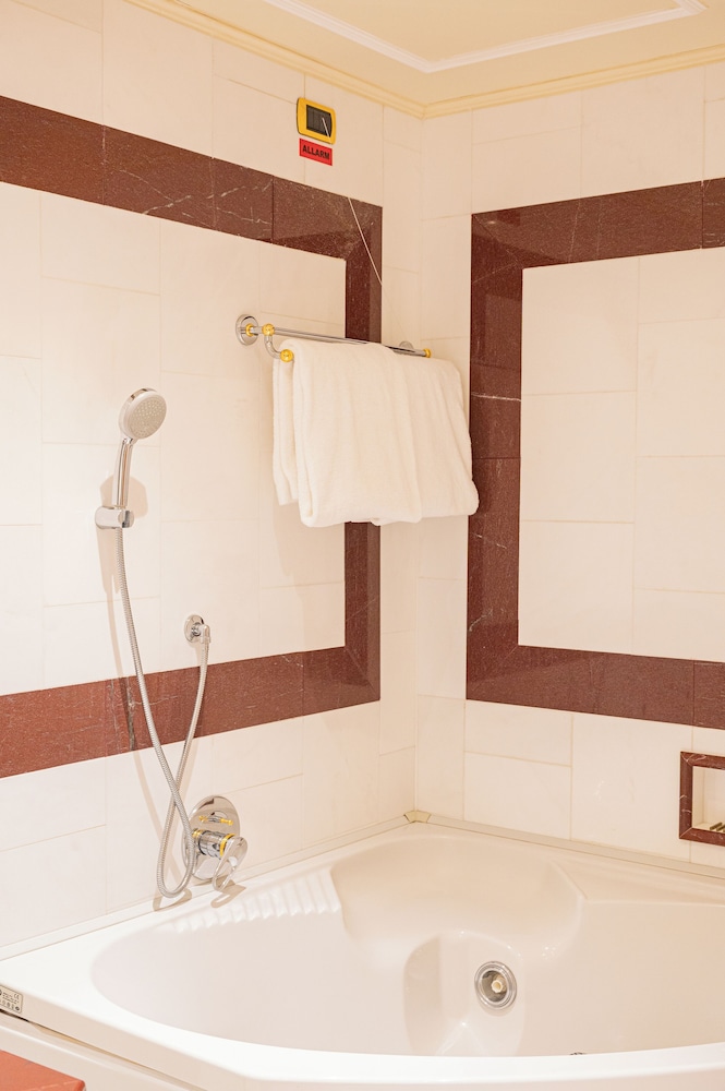 Suite del hotel Royal Carlton. Foto 24