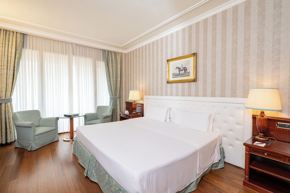 Habitación Deluxe doble, 1 cama de matrimonio grande del hotel Royal Carlton. Foto 6