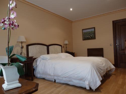 Doble Superior del hotel Aranda. Foto 4