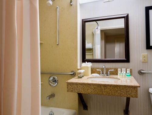 Habitación adaptada para personas de movilidad reducida con cama extragrande y bañera del hotel AMTD Idea Tribeca. Foto 3