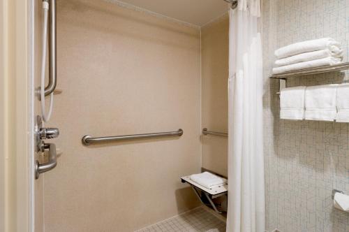 Habitación con ducha a ras de suelo adaptada para personas con movilidad reducida - Cama extragrande del hotel Holiday Inn Express New York City Times Square. Foto 6