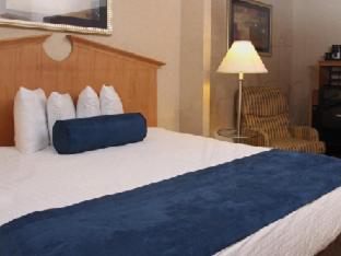 Suite 1 Cama king 1 habitación Normal del hotel Marco LaGuardia Hotel & Suites