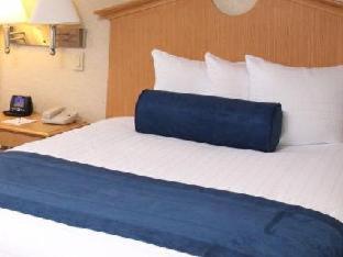 Suite 1 Cama king 1 habitación Normal del hotel Marco LaGuardia Hotel & Suites. Foto 1