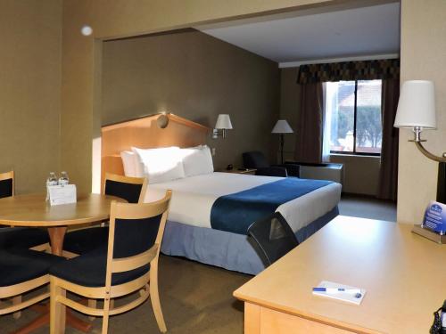 Estudio Suite del hotel Marco LaGuardia Hotel & Suites. Foto 3