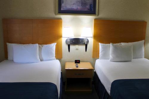 Habitación Doble Deluxe con 2 camas dobles del hotel Marco LaGuardia Hotel & Suites. Foto 1