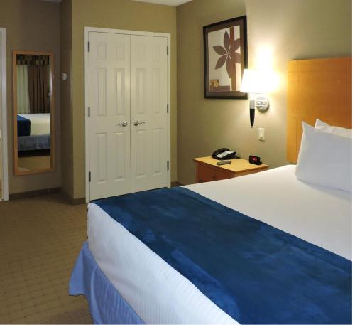 Suite de 1 dormitorio del hotel Marco LaGuardia Hotel & Suites. Foto 3