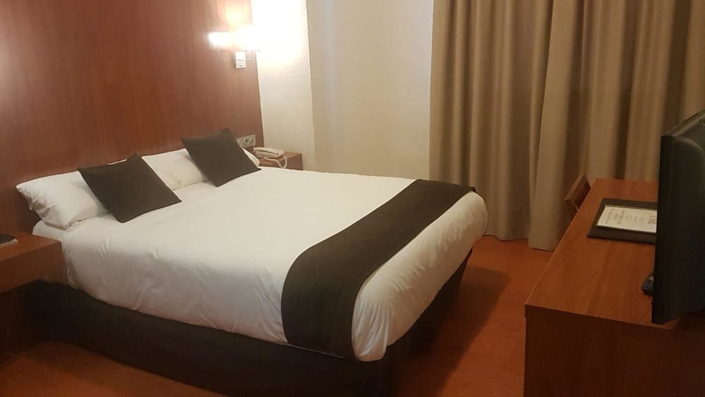 Habitación estándar con 1 cama doble o 2 individuales (Parking included) del hotel Sercotel Familia Conde. Foto 1