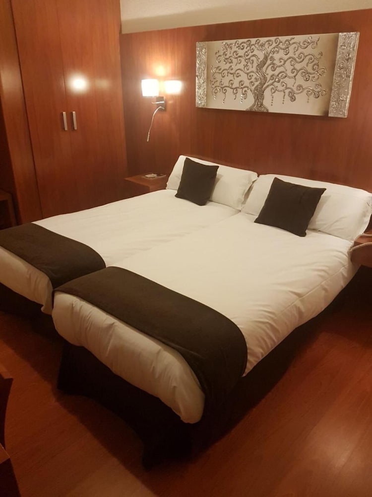 Habitación estándar con 1 cama doble o 2 individuales (Parking included) del hotel Sercotel Familia Conde. Foto 3