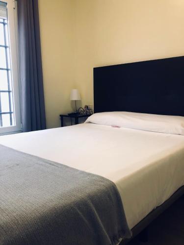 Habitación Doble Económica - 1 o 2 camas del hotel Orfebre Góngora. Foto 10