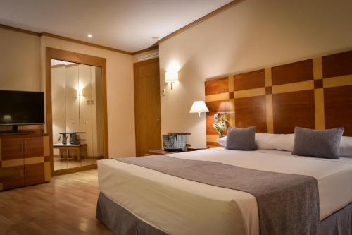 Habitación Doble - 1 cama extragrande del hotel Senator Parque Central. Foto 3
