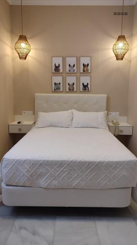 Habitación Individual del hotel Casa Palacio Don Pedro. Foto 1