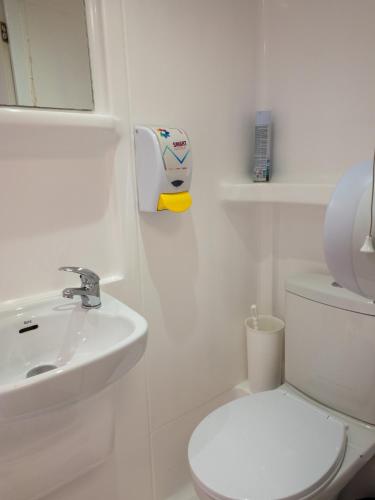 Cama individual en habitación compartida mixta de 6 camas con baño privado del hotel Smart Russell Square