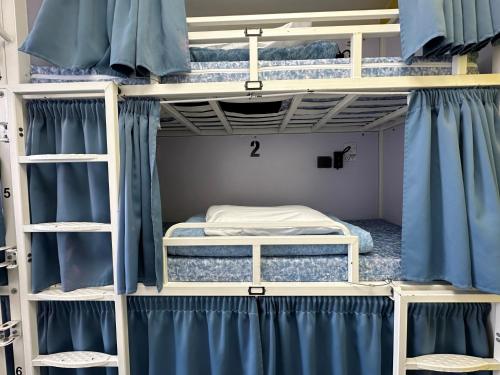 Cama Individual en habitación compartida de 12 camas del hotel Smart Russell Square. Foto 5