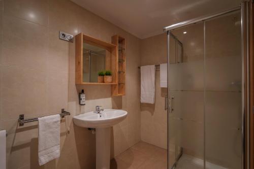 Apartamento Estándar de 1 dormitorio del hotel Spirit Apartamentos Atxuri. Foto 5