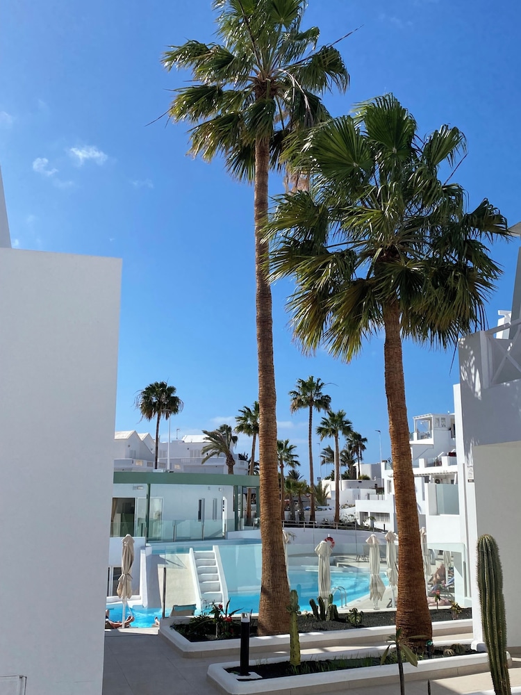 Classic studio, terrace or garden view del hotel Kikerestudios. Foto 3