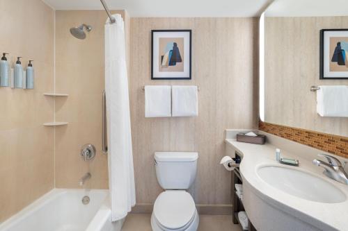 Habitación Doble con ducha adaptada para silla de ruedas - Adaptada para personas con movilidad reducida y discapacidad auditiva - 2 camas dobles del hotel Courtyard New York Manhattan Soho. Foto 3