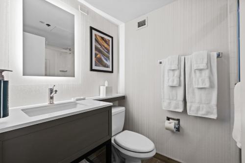 Habitación con cama extragrande y ducha a ras de suelo - Adaptada para personas de movilidad reducida y con discapacidad auditiva del hotel DoubleTree by Hilton New York JFK Airport. Foto 13