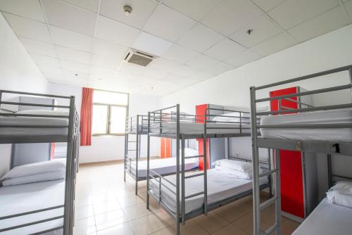 Cama en habitación compartida femenina con baño - 10 camas del hotel Safestay Barcelona Passeig De Gracia. Foto 5