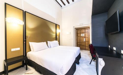 Habitación Doble - 1 o 2 camas del hotel Palacio Marqués De Arizón. Foto 8