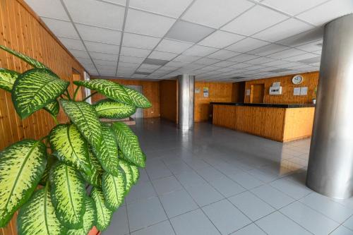 Apartamento de 1 dormitorio del hotel Puerto Bello. Foto 30