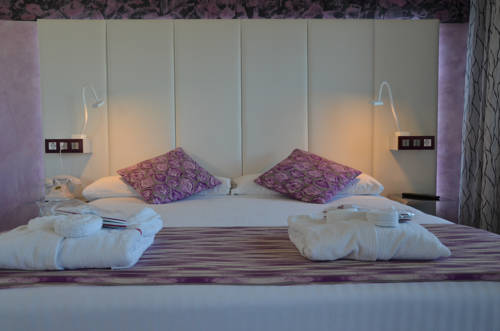 Habitación doble Vista Parque del hotel Petit Palace Savoy Alfonso XII