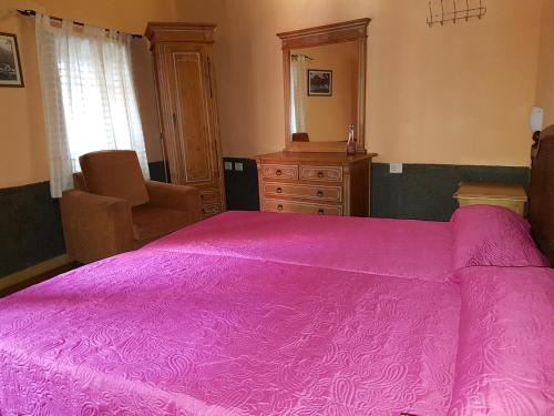 Double or Twin Room del hotel Fonda Central