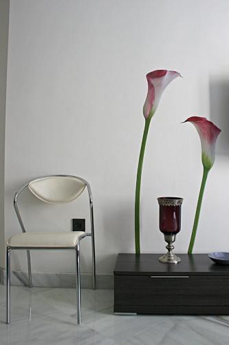 Apartamento de 1 dormitorio del hotel Living-sevilla. Foto 16